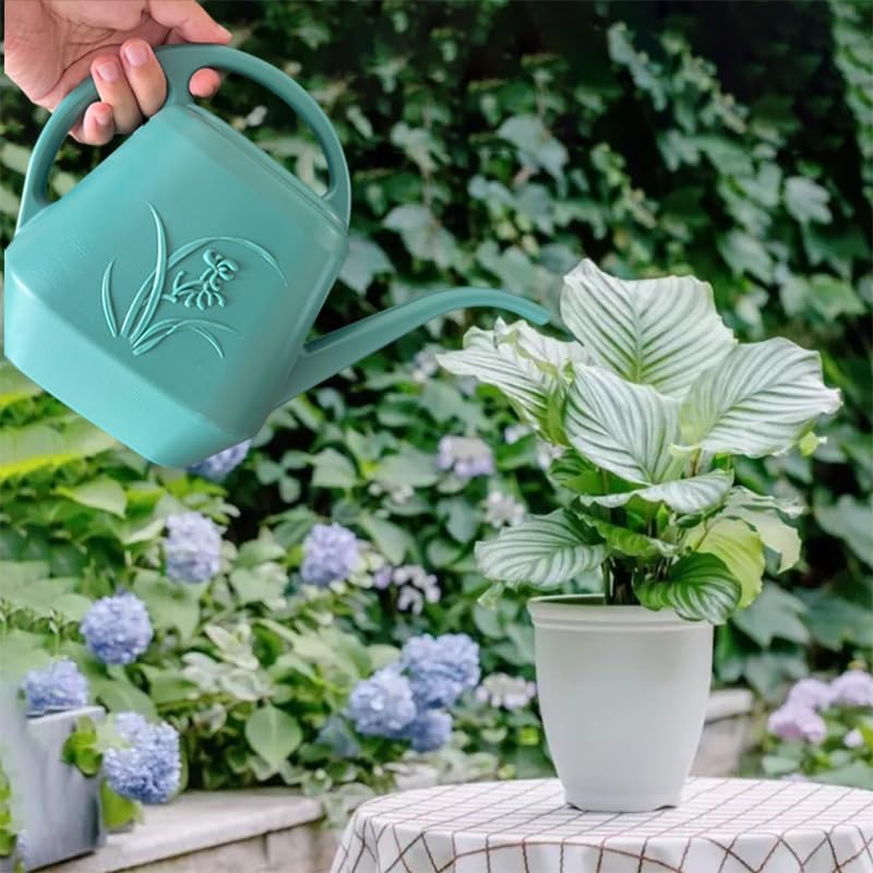 Plant Watering Can