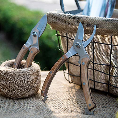 8” Wood Handle Garden Scissors (8"WoodHandleShearsSet(E023))