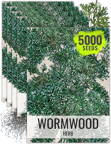 Wormwood Seeds to Plant Heirloom Non (5 Packs)