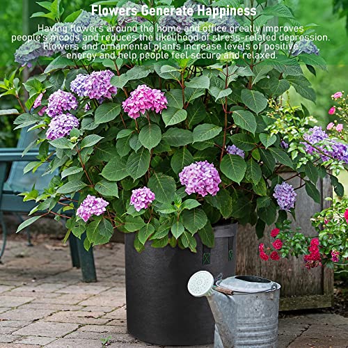 Tall Fabric Pots for Plants (Black / 10 Gallons 5 Pack)