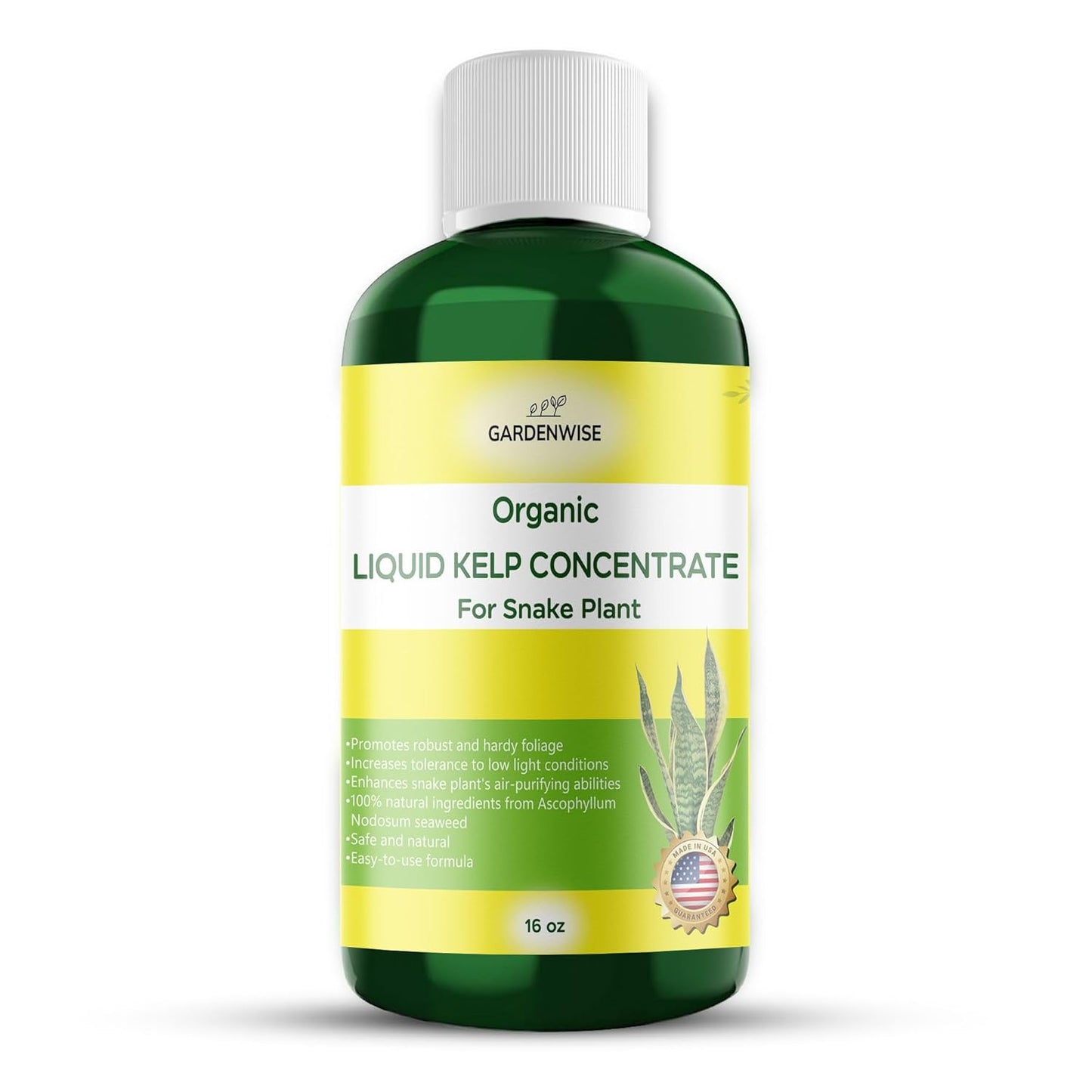 Organic Seaweed Kelp Liquid Fertilizer for Sansevieria - Snake Plant Food (16 OZ)