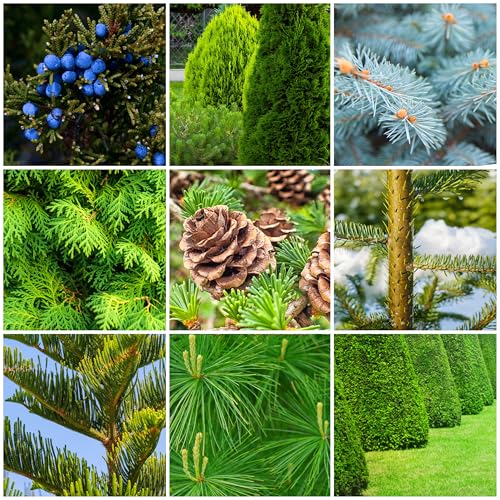 Fertilizer Spikes for Evergreen Trees & Shrubs (72 Spikes - 18.0 Lbs)