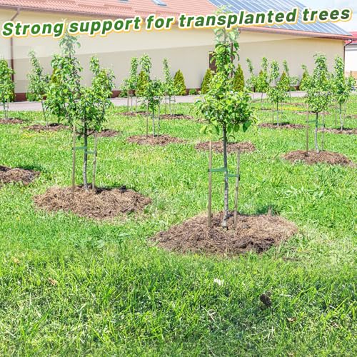 2 425 Lbs Strength Tree Straps (216FT)