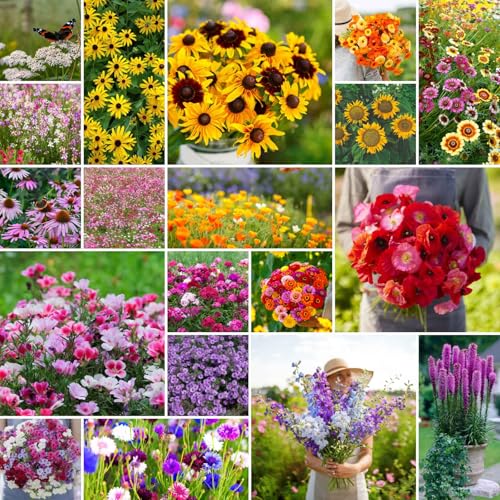Late Bloomer Wildflower Mixed Seeds for Planting