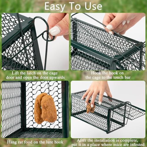 4 Pcs Rat Trap Live Animal Cage for Squirrel Chipmunk Mouse (Green)