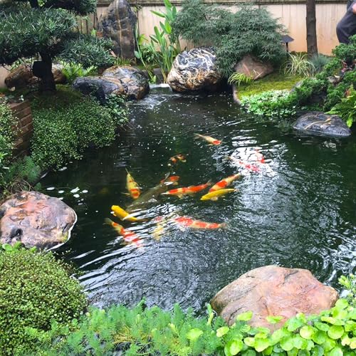 15 x 25 FT Pond Liner (15 FT x 25 FT)
