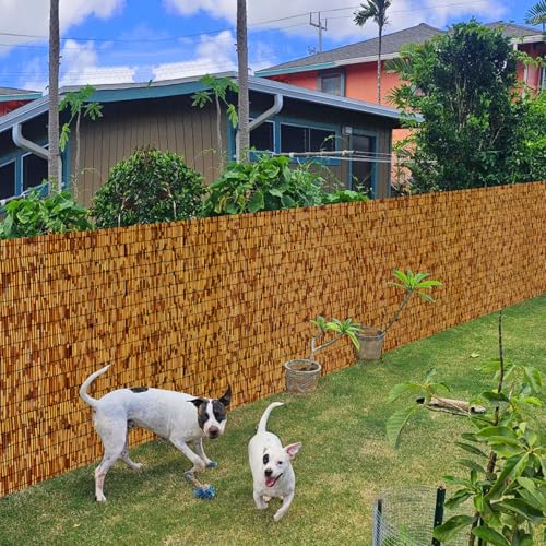Reed Fencing Rolls (3×16FT 2Pack / Brown)