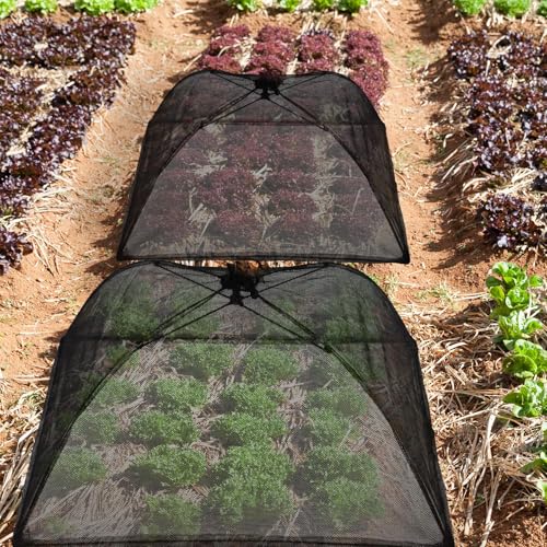 4 Pack Mesh Plant Cover Dome Tent Protector (17 x 17 Inch / Black)