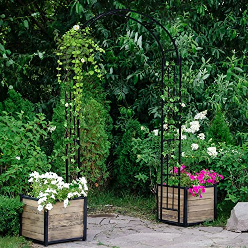 Garden Arch Trellis (43.5"W x 90.5"H)