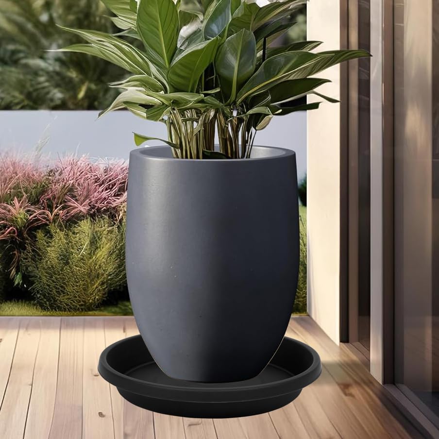 5 Pack Plant Saucer 6 Inch (6" (5 Pack) / Brown)