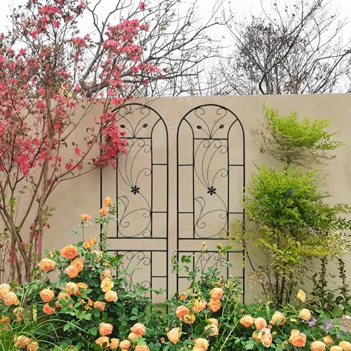 Metal Garden Trellis Rustproof Trellis for Climbing Plants Outdoor Flower Support Peacock Style