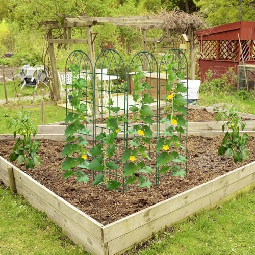 4 Pack Garden Trellis for Climbing Plants (59''H x 16''W/4 Pack / Green)