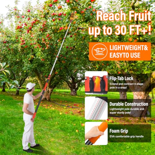 30 FT Reach Fruit Picker Pole with Basket Telescoping (Reach 30ft（24ft))
