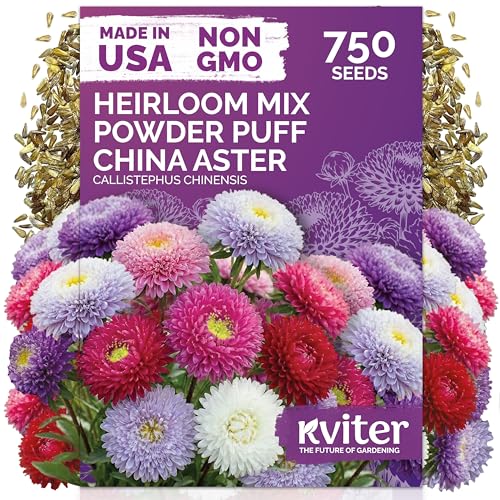 750 Mix Powder Puff China Aster Annual Flower Seeds