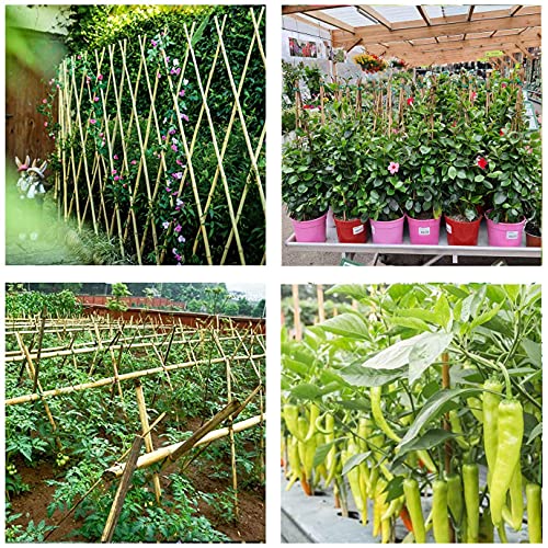 Bamboo Sticks for Plants 2 Feet Bamboo Stakes for Indoor Gardening Plant Stakes Supports Potted Plants Mini Trees Garden Stakes (30 Count)