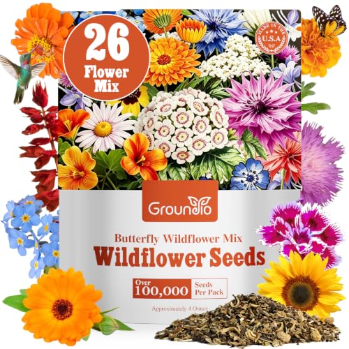 Wildflower Seeds Bulk