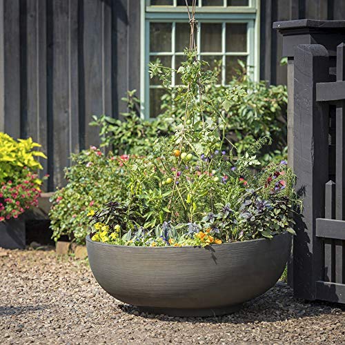 Orinoco Planter Bowl