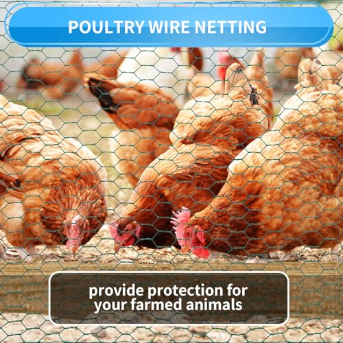 48'' x 50' Green Chicken Wire Fencing (Green 48'' x 50')