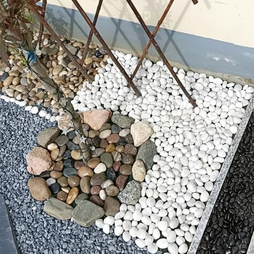 5 lbs White Rocks for Plants
