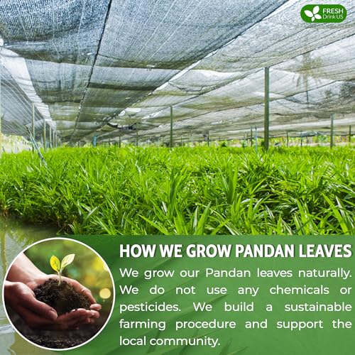 Premium 30 Bags Pandan Leaf Tea (30 Tea Bags)