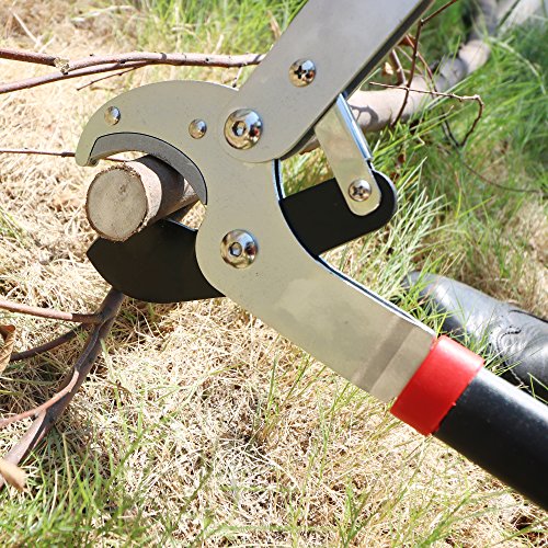 29 Inch Heavy Duty Anvil Lopper