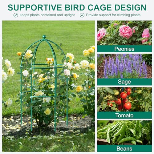 6 Pack Peony Cage (31.5"H x 15.7"W/6PC / Green)