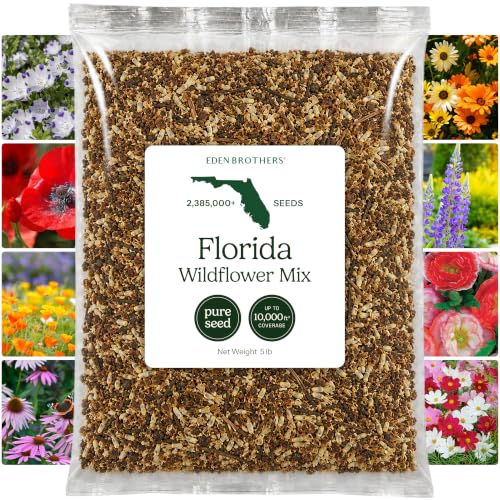 Florida Wildflower Mixed Seeds for Planting