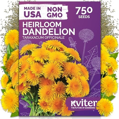 750 Dandelion Heirloom Flower Seeds for Planting
