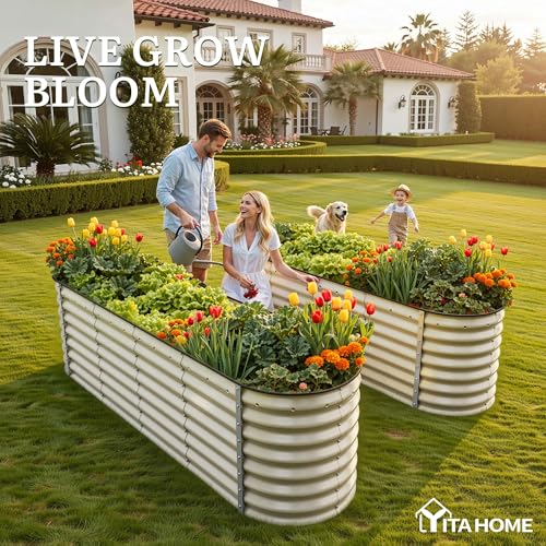 8x2x2ft Galvanized Oval Raised Garden Bed (8x2x2ft / Cream Yellow)