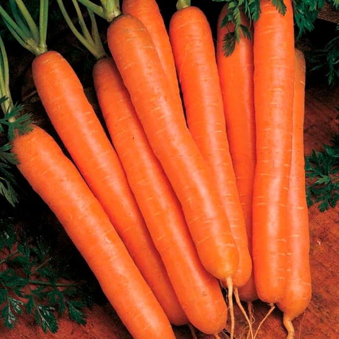 Park Seed Stir Fry Vegetable Seed Collection – Non-GMO Garden Kit with Broccoli, Snap Peas, Carrots, Sweet Peppers & Green Onions – Nutrient-Dense Superfoods for Cooking, Total of 1,605 Seeds