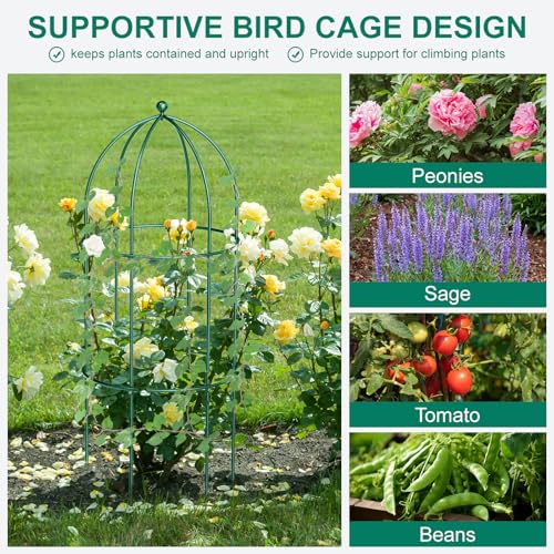6 Pack Peony Cage (47.2"H x 17.7"W/6PC / Deep Green)