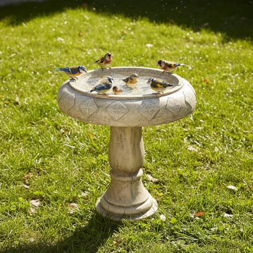 Pedestal Birdbath for Garden (23.2inch / Antique Stone Gray)
