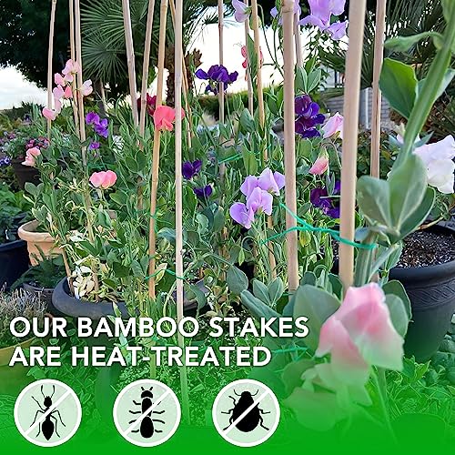 65 Pack 6 Feet Garden Bamboo Stakes for Plant Support (6 Feet - 65 Pack)