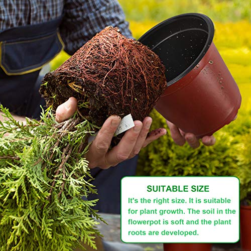 110 Pcs 6 Inches Plastic Plants Nursery Pot (110 Count)