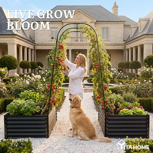 2pcs 6x3x1.5ft Galvanized Raised Garden Bed with Tall Arch Trellis (Black / 6x3x1.5ft 2pcs W/ Trellis)