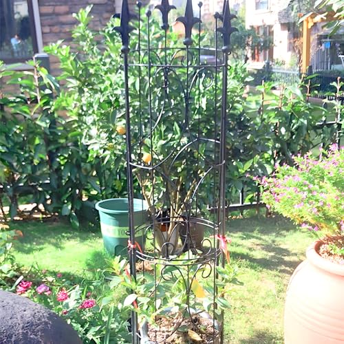 Garden Trellis 2 Pack 72'' H x 12'' W Metal Plant Trellis (2 Count)