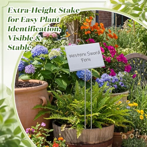 12 Pcs Large Plant Marker (4'' X 6'' with 21'' Stake / Silver)