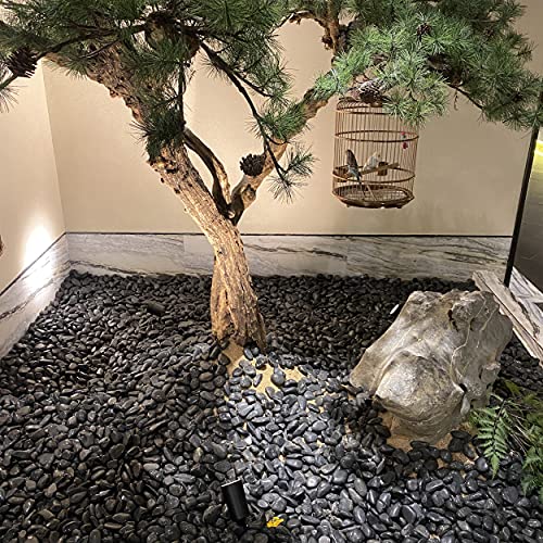 20 lbs Black Stones for Landscaping