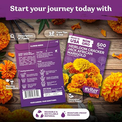 500 Cracker Jack Marigold Heirloom Flower Seeds
