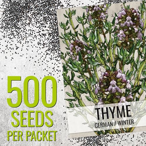Thyme Seeds to Plant Heirloom Non (2 Packs)