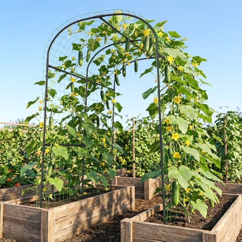 Garden Arch Trellis (71" L x 47.2" W x 83" H)