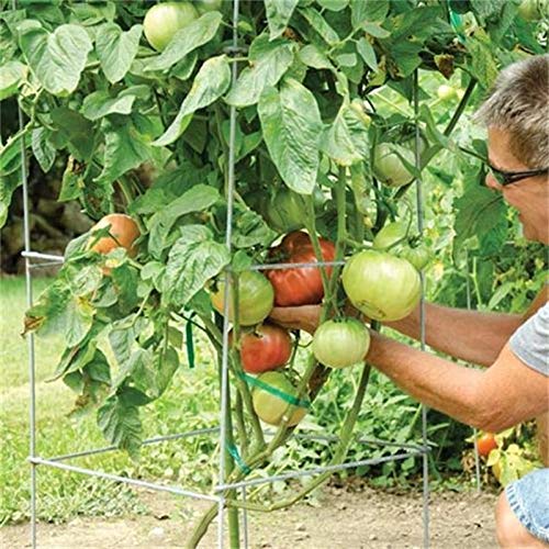 46" Height 12" Width 2PCS Galvanized Square Folding Tomato Cage (12*46inch Sq-Galvanized-2Pack)