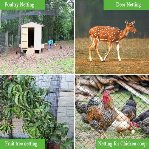 Bird Netting 25x25 Ft