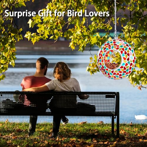 Solar Bird Feeder (Multi)