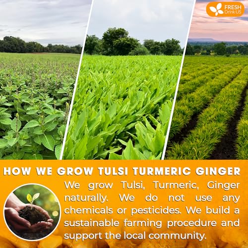 Premium 135 Bags Tulsi Turmeric Ginger Tea (135 Tea Bags)