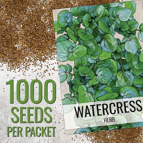 Watercress Seeds to Plant Heirloom Non (5 Packs)