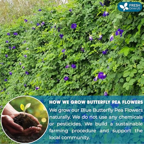 Premium 8 oz Butterfly Pea Flowers (8oz)