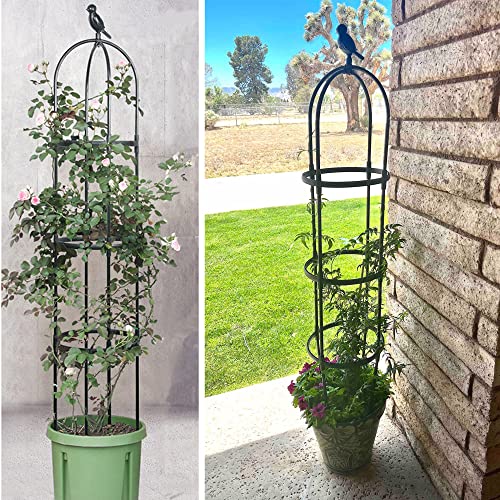 Garden Trellis for Climbing Plants (Black)