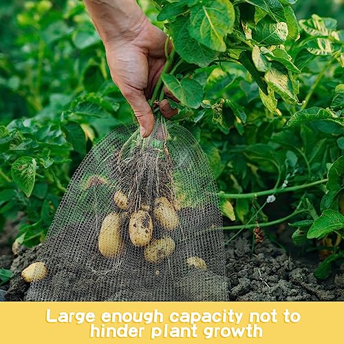 20 Pcs Large Root Guard Gopher Basket Vole Mesh Wire Baskets Stainless Steel Guard Cages Knitted Gopher Wire Mesh for Underground Vegetables Flowers Tree Root Protection (10 Gallon)