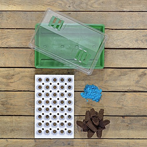 Bio Dome Seed Starter Kit with 40 Jumbo Cell Planting Block (40 Cell)